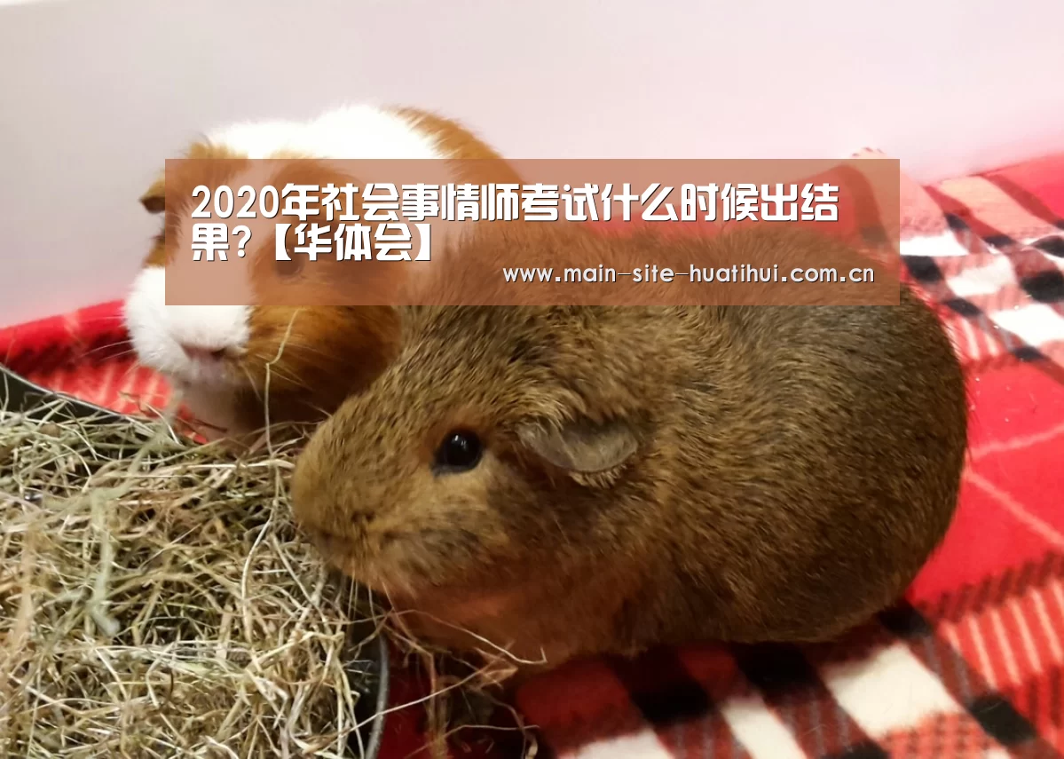 体育赛事